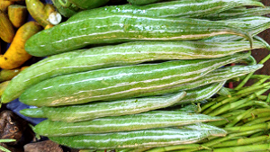 Serpent Gourd