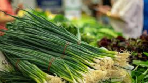 Spring Onion