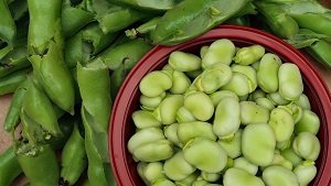 all vegetables name in hindi and english 