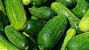 cucumber ka hindi name