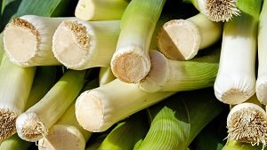 leek vegetable in hindi 