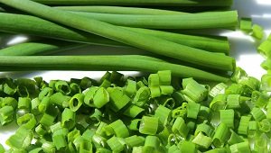 list of vegetables in hindi and english 