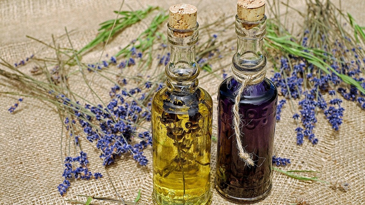 Benefits of Lavender Oil in Hindi