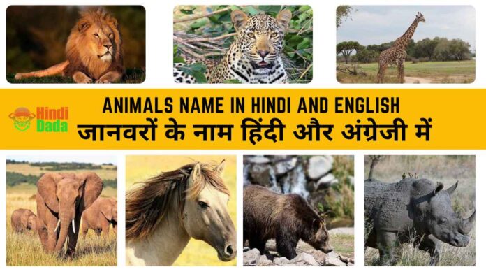 Animals Name in Hindi and English