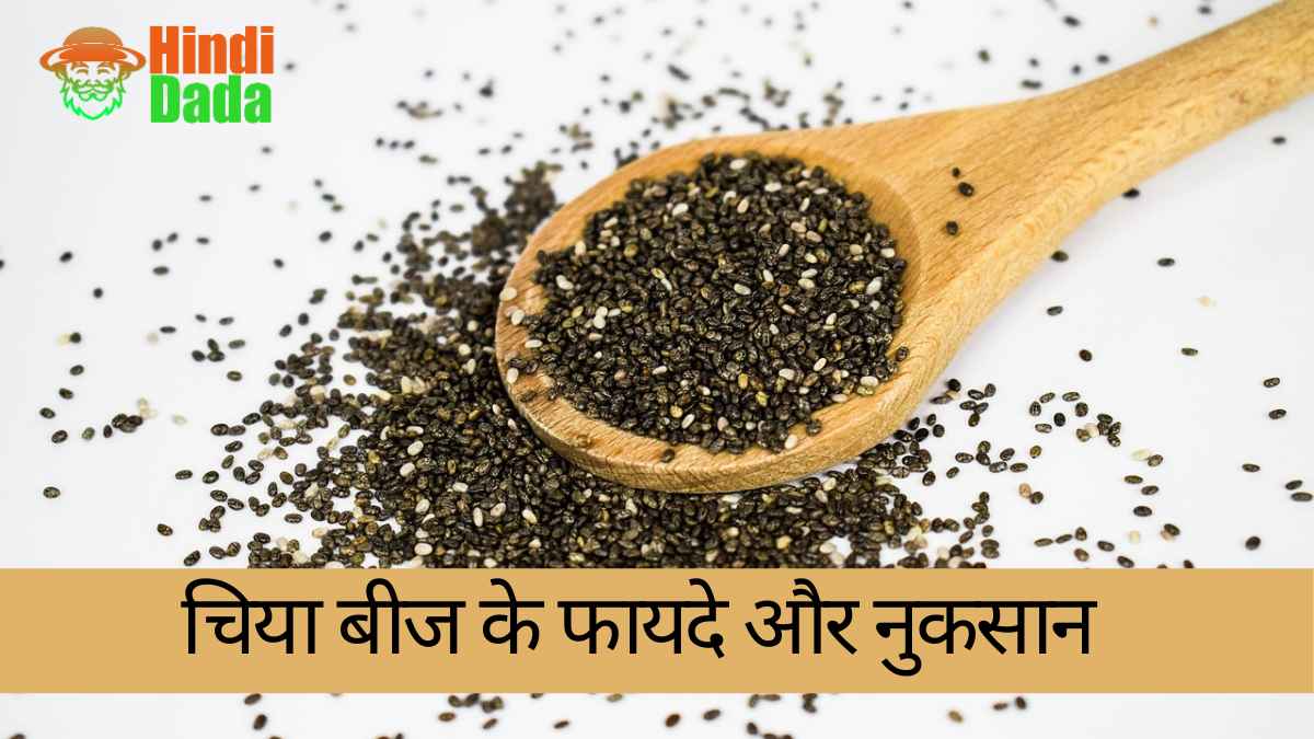 Benefits Of Chia Seeds In Hindi Chia Seeds In Hindi 