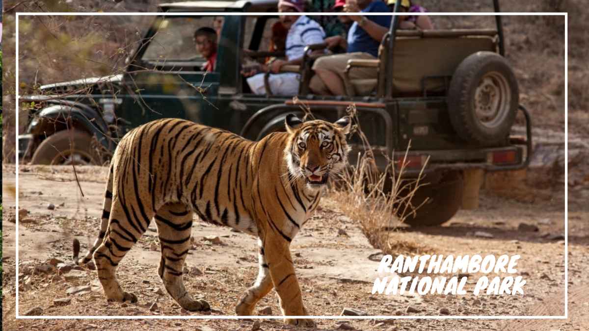 Best Places to Visit in Ranthambore