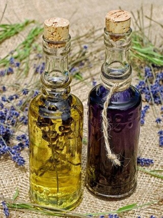 lavender-oil-extraction-plant-opened-at-lal-mandi-kashmir-observer