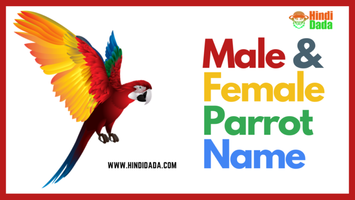 Parrot Name in Hindi